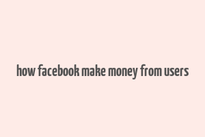 how facebook make money from users