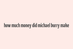 how much money did michael burry make