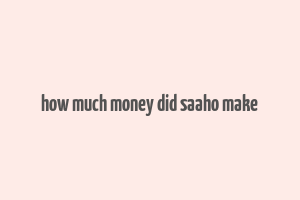 how much money did saaho make