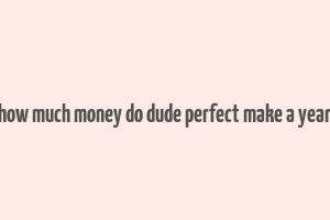 how much money do dude perfect make a year