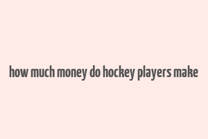 how much money do hockey players make