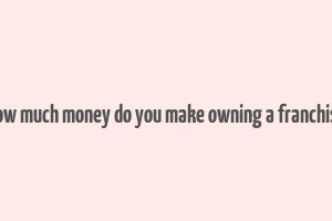 how much money do you make owning a franchise