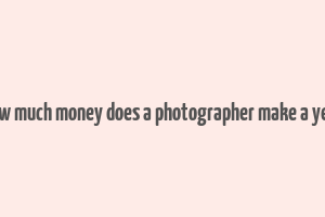 how much money does a photographer make a year