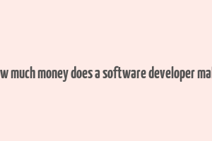 how much money does a software developer make