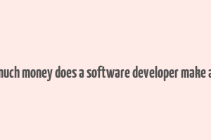 how much money does a software developer make a year