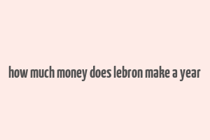 how much money does lebron make a year