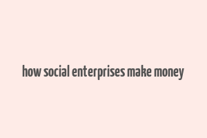 how social enterprises make money