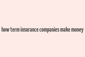 how term insurance companies make money