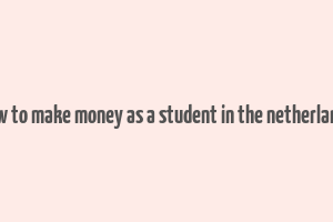 how to make money as a student in the netherlands