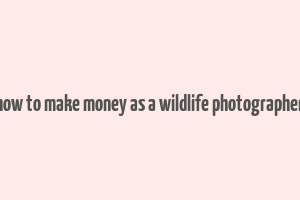 how to make money as a wildlife photographer