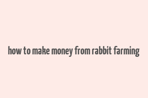 how to make money from rabbit farming