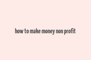 how to make money non profit