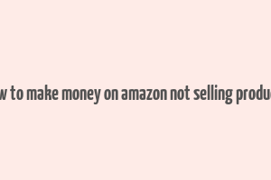 how to make money on amazon not selling products