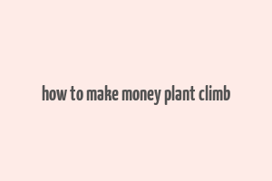 how to make money plant climb