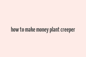 how to make money plant creeper