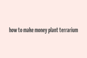 how to make money plant terrarium