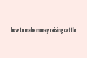 how to make money raising cattle