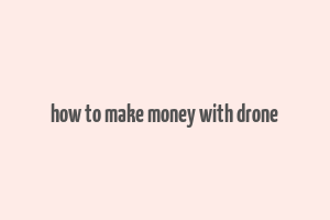 how to make money with drone