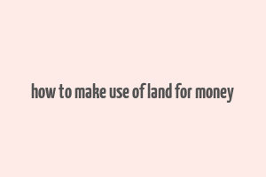 how to make use of land for money