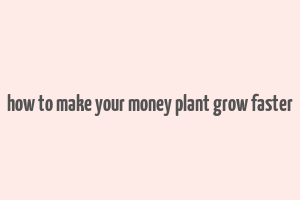 how to make your money plant grow faster