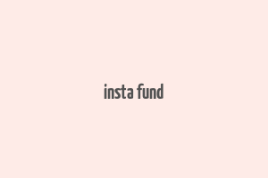 insta fund