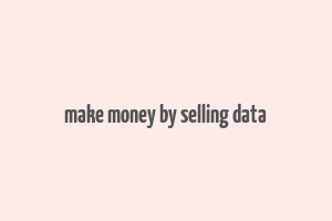 make money by selling data