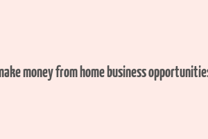 make money from home business opportunities