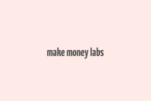 make money labs