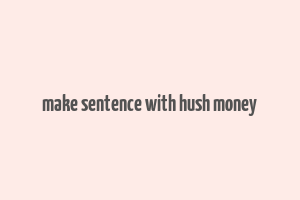 make sentence with hush money