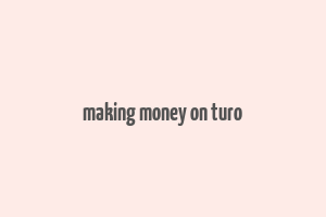 making money on turo