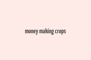 money making crops