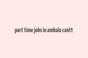 part time jobs in ambala cantt