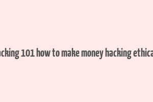 web hacking 101 how to make money hacking ethically pdf