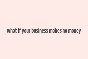 what if your business makes no money