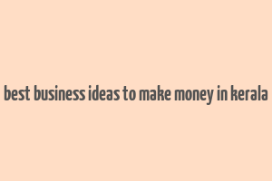 best business ideas to make money in kerala