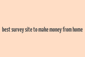 best survey site to make money from home