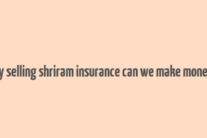 by selling shriram insurance can we make money