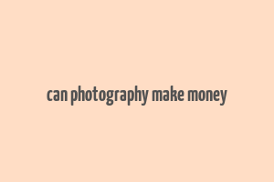 can photography make money