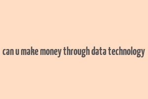 can u make money through data technology