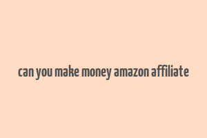 can you make money amazon affiliate