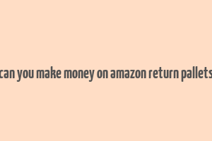 can you make money on amazon return pallets