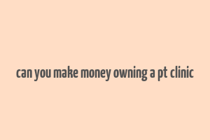 can you make money owning a pt clinic