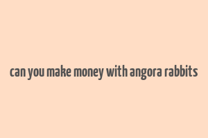 can you make money with angora rabbits