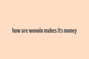 how are wonolo makes its money