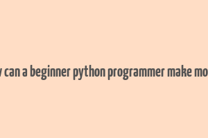 how can a beginner python programmer make money