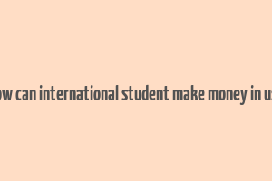 how can international student make money in usa