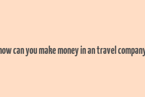 how can you make money in an travel company