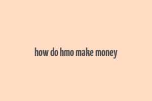 how do hmo make money