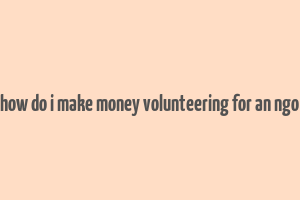 how do i make money volunteering for an ngo