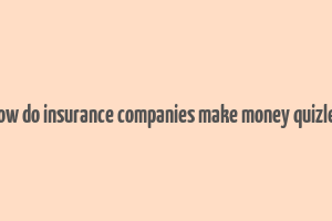 how do insurance companies make money quizlet